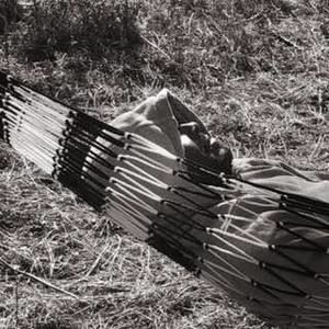 Meet your Posher, Daryl